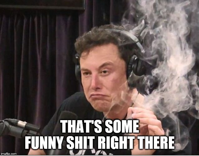 Elon Musk smoking a joint | THAT'S SOME FUNNY SHIT RIGHT THERE | image tagged in elon musk smoking a joint | made w/ Imgflip meme maker