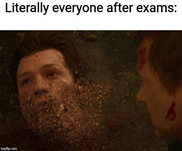 Mr Teacher, We don't feel so good | Literally everyone after exams: | image tagged in peter parker dust,school meme,exams,literally,students | made w/ Imgflip meme maker