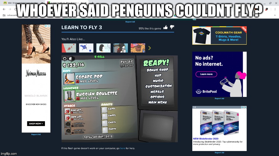 WHOEVER SAID PENGUINS COULDNT FLY? | image tagged in penguins,memes | made w/ Imgflip meme maker
