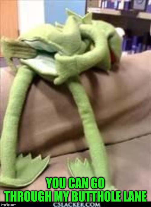 Gay kermit | YOU CAN GO THROUGH MY BUTTHOLE LANE | image tagged in gay kermit | made w/ Imgflip meme maker