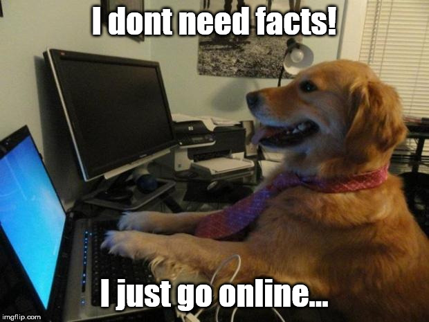 Dog behind a computer | I dont need facts! I just go online... | image tagged in dog behind a computer | made w/ Imgflip meme maker