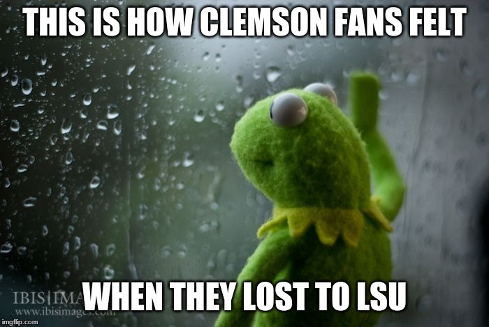 kermit window | THIS IS HOW CLEMSON FANS FELT; WHEN THEY LOST TO LSU | image tagged in kermit window | made w/ Imgflip meme maker