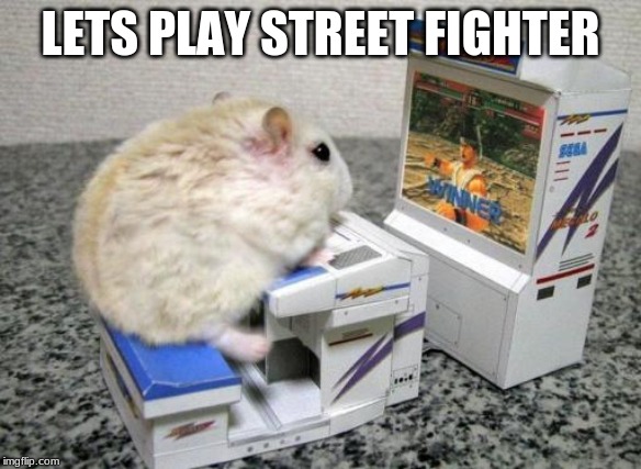 hamster arcade | LETS PLAY STREET FIGHTER | image tagged in hamster arcade | made w/ Imgflip meme maker
