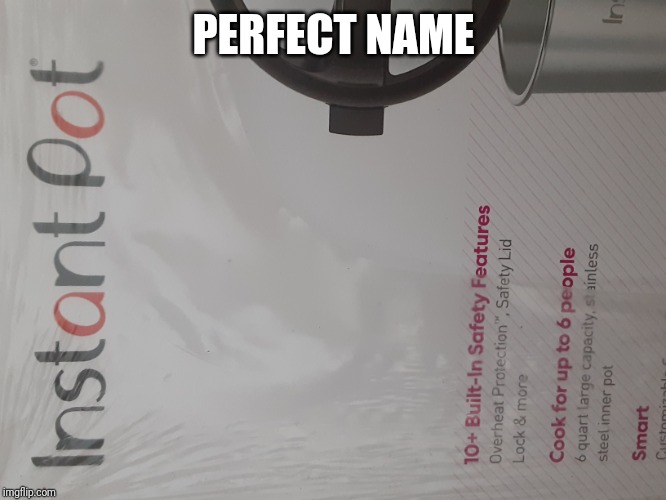 PERFECT NAME | image tagged in instant pot | made w/ Imgflip meme maker