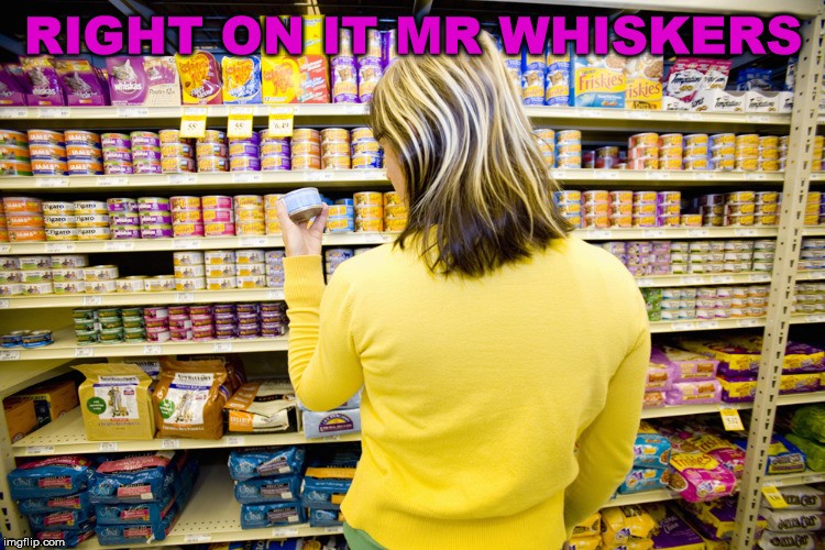 Cat Food | RIGHT ON IT MR WHISKERS | image tagged in cat food | made w/ Imgflip meme maker