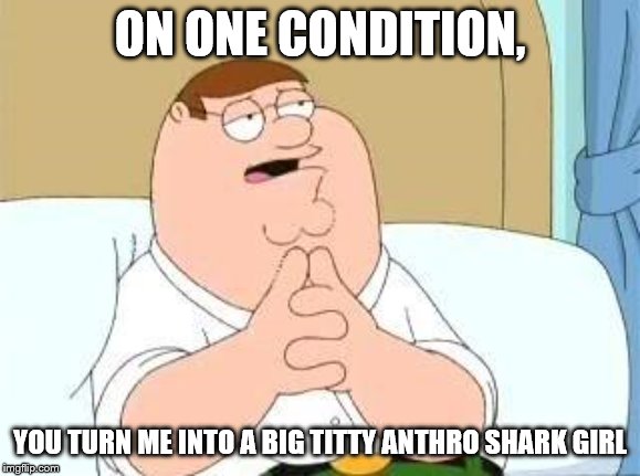 peter griffin go on | ON ONE CONDITION, YOU TURN ME INTO A BIG TITTY ANTHRO SHARK GIRL | image tagged in peter griffin go on | made w/ Imgflip meme maker