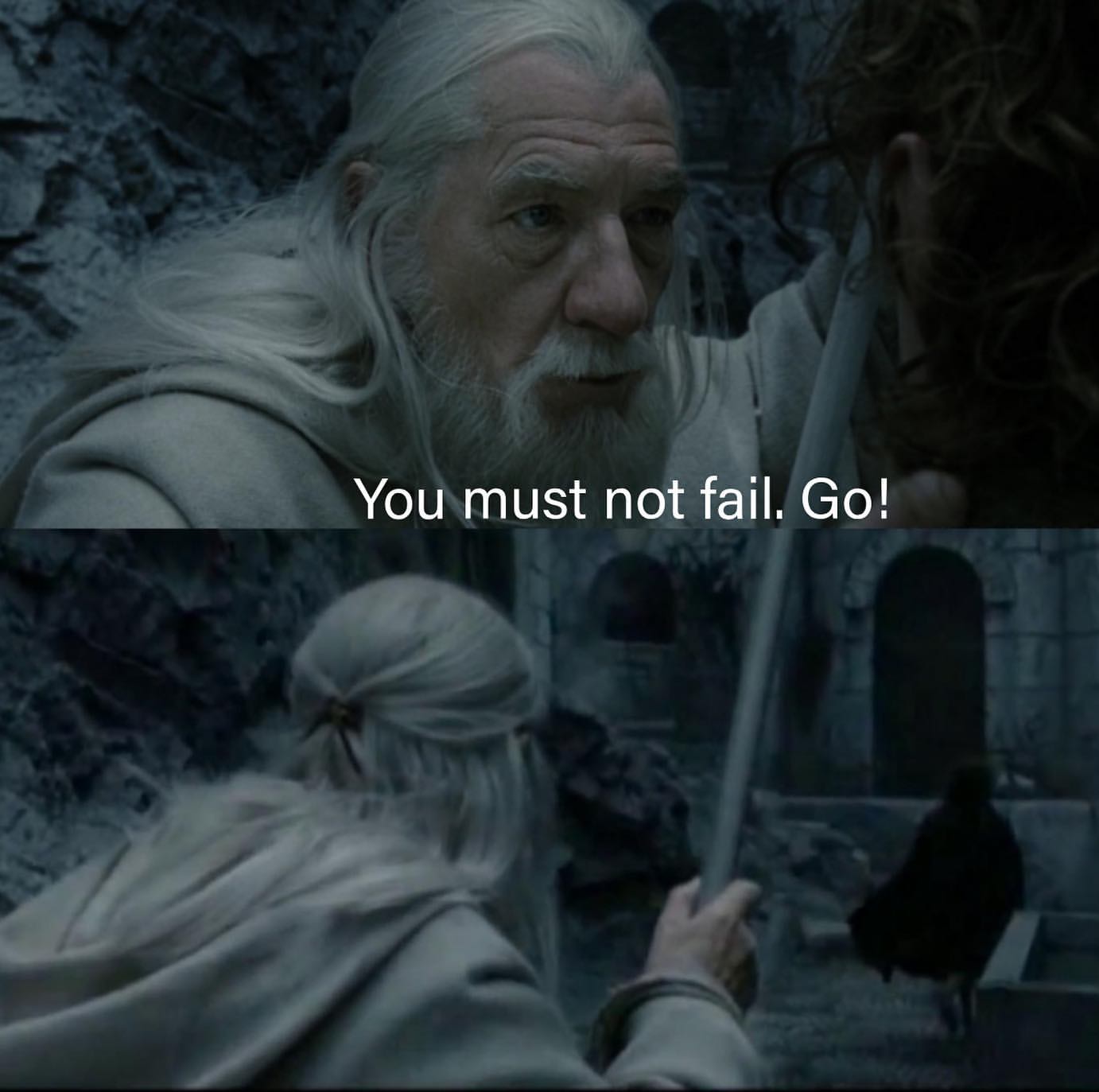 High Quality you must not fail dumbledore Blank Meme Template