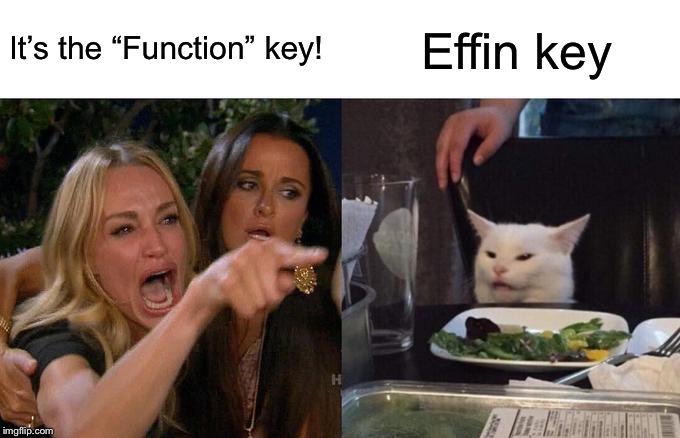 Woman Yelling At Cat | It’s the “Function” key! Effin key | image tagged in memes,woman yelling at cat | made w/ Imgflip meme maker