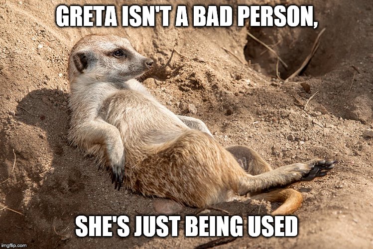 Reclining Meerkat | GRETA ISN'T A BAD PERSON, SHE'S JUST BEING USED | image tagged in reclining meerkat | made w/ Imgflip meme maker