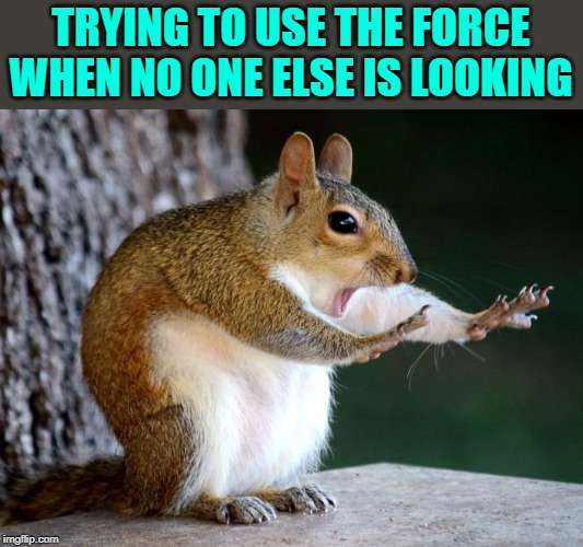 hode up! | TRYING TO USE THE FORCE WHEN NO ONE ELSE IS LOOKING | image tagged in hode up | made w/ Imgflip meme maker