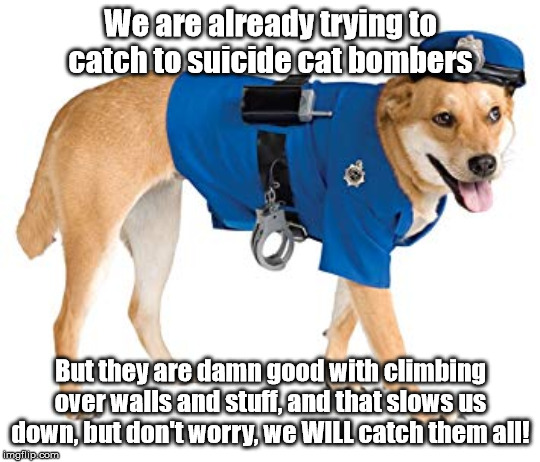 We are already trying to catch to suicide cat bombers But they are damn good with climbing over walls and stuff, and that slows us down, but | made w/ Imgflip meme maker