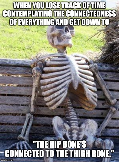 Waiting Skeleton Meme | WHEN YOU LOSE TRACK OF TIME CONTEMPLATING THE CONNECTEDNESS OF EVERYTHING AND GET DOWN TO; "THE HIP BONE'S CONNECTED TO THE THIGH BONE." | image tagged in memes,waiting skeleton | made w/ Imgflip meme maker