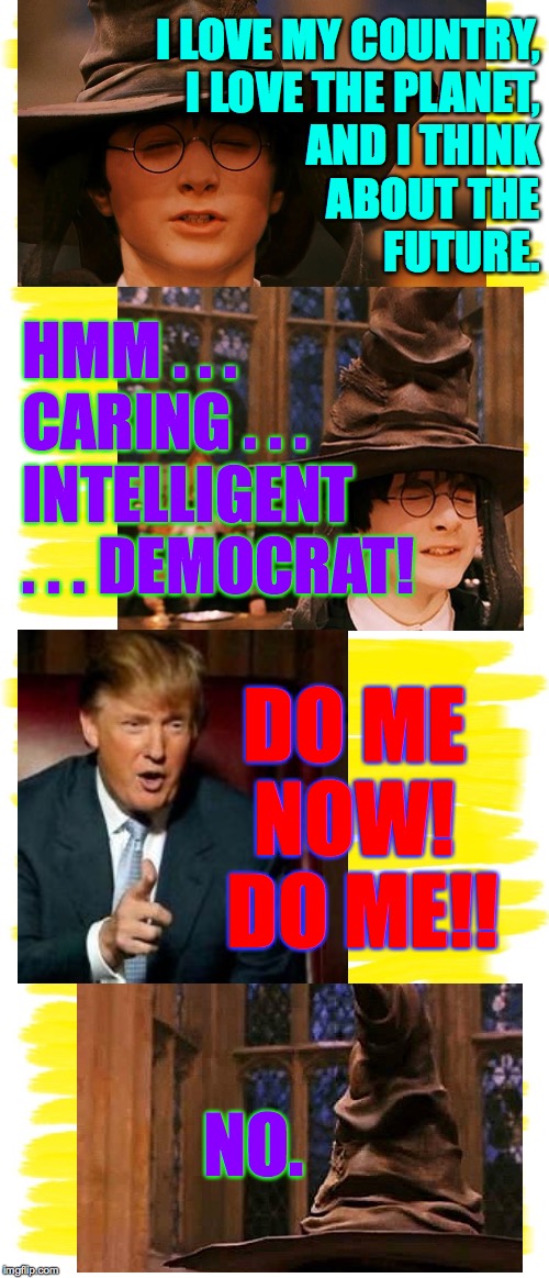 Grumpy Sorting Hat  ( : | I LOVE MY COUNTRY,
I LOVE THE PLANET,
AND I THINK
ABOUT THE
FUTURE. HMM . . .
CARING . . .
INTELLIGENT
. . . DEMOCRAT! DO ME NOW!  DO ME!! NO. | image tagged in memes,harry potter sorting hat,trump,grumpy hat,no,sweeties only | made w/ Imgflip meme maker