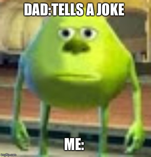 Sully Wazowski | DAD:TELLS A JOKE; ME: | image tagged in sully wazowski | made w/ Imgflip meme maker