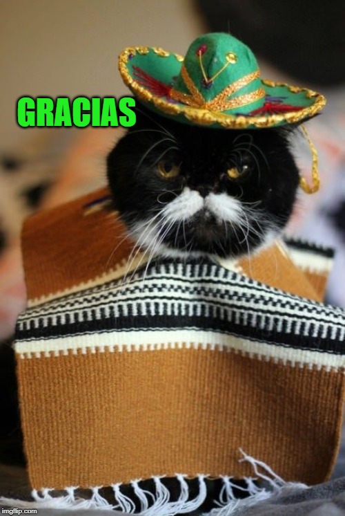 Don't  forget me Mexican cat | GRACIAS | image tagged in don't forget me mexican cat | made w/ Imgflip meme maker