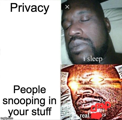 Sleeping Shaq Meme | Privacy; People snooping in your stuff | image tagged in memes,sleeping shaq | made w/ Imgflip meme maker