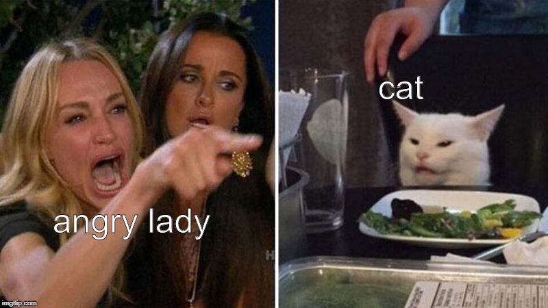 Woman yelling at white cat | cat; angry lady | image tagged in woman yelling at white cat | made w/ Imgflip meme maker