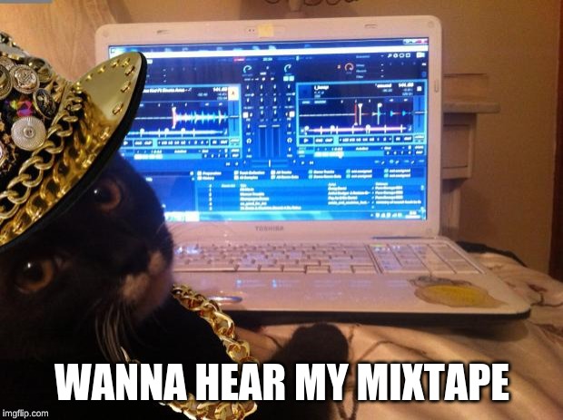 DJ Cat Bling | WANNA HEAR MY MIXTAPE | image tagged in dj cat bling | made w/ Imgflip meme maker