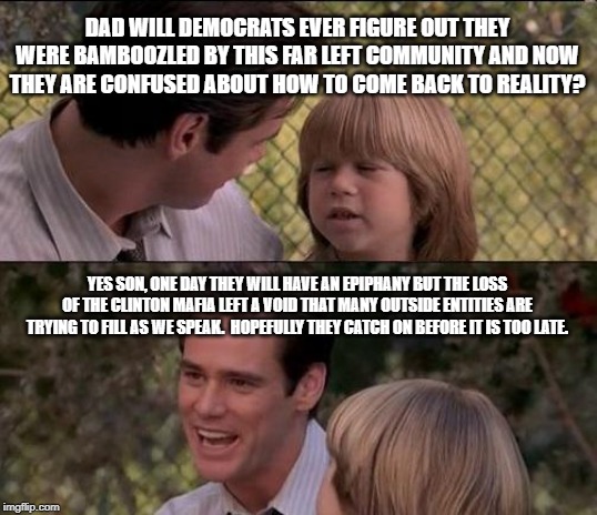 That's Just Something X Say Meme | DAD WILL DEMOCRATS EVER FIGURE OUT THEY WERE BAMBOOZLED BY THIS FAR LEFT COMMUNITY AND NOW THEY ARE CONFUSED ABOUT HOW TO COME BACK TO REALI | image tagged in memes,thats just something x say | made w/ Imgflip meme maker