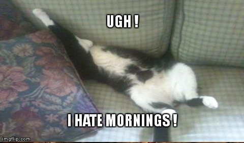 One Does Not Simply Meme | UGH ! I HATE MORNINGS ! | image tagged in memes,one does not simply | made w/ Imgflip meme maker