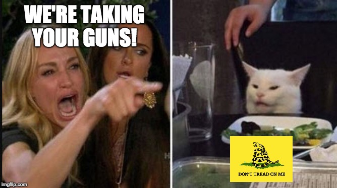Woman Yelling at Cat | WE'RE TAKING YOUR GUNS! | image tagged in woman yelling at cat | made w/ Imgflip meme maker
