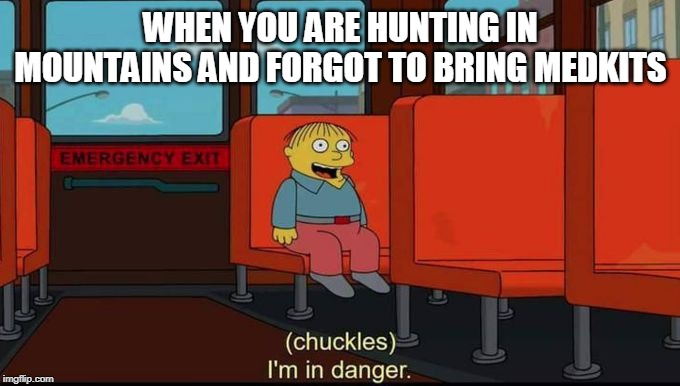im in danger | WHEN YOU ARE HUNTING IN MOUNTAINS AND FORGOT TO BRING MEDKITS | image tagged in im in danger | made w/ Imgflip meme maker