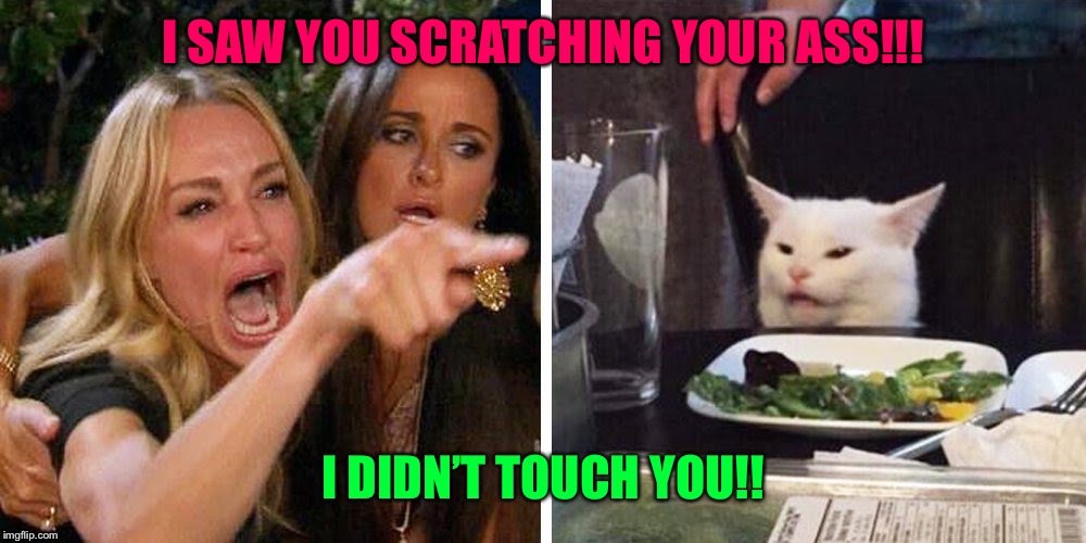 Smudge the cat | I SAW YOU SCRATCHING YOUR ASS!!! I DIDN’T TOUCH YOU!! | image tagged in smudge the cat | made w/ Imgflip meme maker