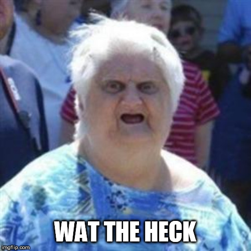 WAT Lady | WAT THE HECK | image tagged in wat lady | made w/ Imgflip meme maker