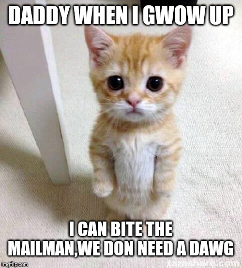 Cute Cat | DADDY WHEN I GWOW UP; I CAN BITE THE MAILMAN,WE DON NEED A DAWG | image tagged in memes,cute cat | made w/ Imgflip meme maker