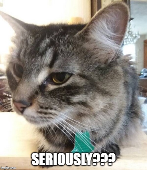 Seriously? | SERIOUSLY??? | image tagged in seriously face,comment | made w/ Imgflip meme maker