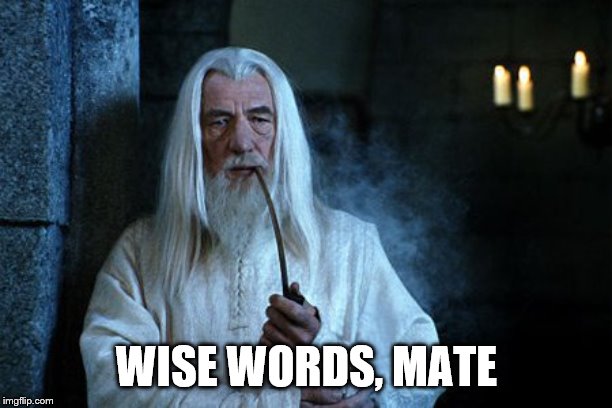 Wise words are spoken  | WISE WORDS, MATE | image tagged in wise words are spoken | made w/ Imgflip meme maker