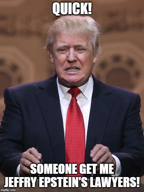 Donald Trump | QUICK! SOMEONE GET ME JEFFRY EPSTEIN'S LAWYERS! | image tagged in donald trump | made w/ Imgflip meme maker