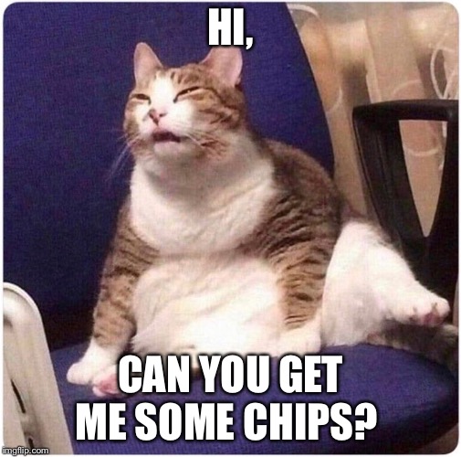 Fat Cat | HI, CAN YOU GET ME SOME CHIPS? | image tagged in fat cat | made w/ Imgflip meme maker