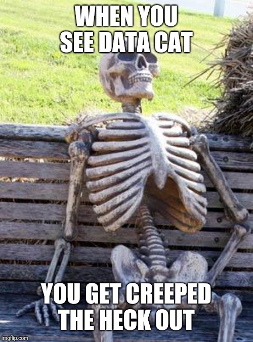 Waiting Skeleton Meme | WHEN YOU SEE DATA CAT YOU GET CREEPED THE HECK OUT | image tagged in memes,waiting skeleton | made w/ Imgflip meme maker
