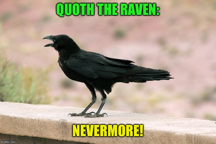 QUOTH THE RAVEN: NEVERMORE! | made w/ Imgflip meme maker