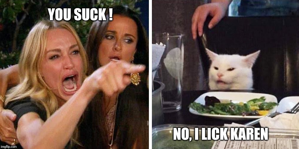 Smudge the cat | YOU SUCK ! NO, I LICK KAREN | image tagged in smudge the cat | made w/ Imgflip meme maker