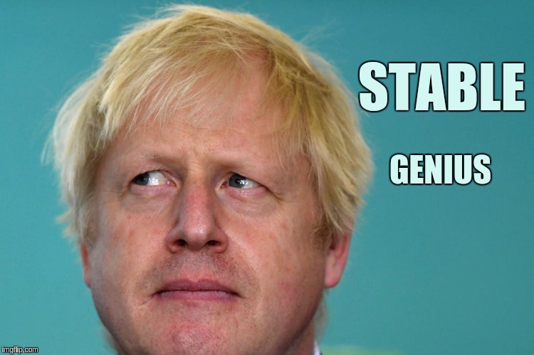 #OFSTED #OURPRIMEMINISTERJOHNSON | STABLE; GENIUS | image tagged in boris johnson,conservative,stable genius,the great awakening,x x everywhere,expanding brain | made w/ Imgflip meme maker