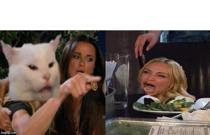 Tables have turned | image tagged in memes,woman yelling at cat,cat,fun,cool,lol | made w/ Imgflip meme maker