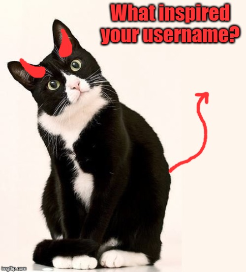What inspired you to have the username you have now? | What inspired your username? | image tagged in tuxedo cat,use the username weekend,usernames,inspiration | made w/ Imgflip meme maker