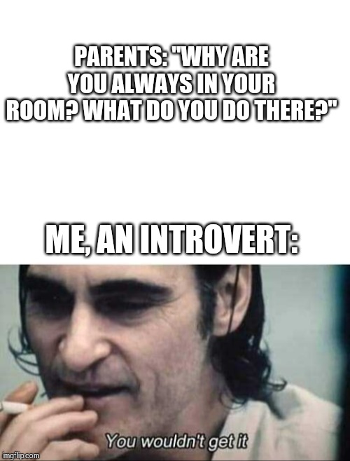 PARENTS: "WHY ARE YOU ALWAYS IN YOUR ROOM? WHAT DO YOU DO THERE?"; ME, AN INTROVERT: | image tagged in blank white template,you wouldn't get it | made w/ Imgflip meme maker