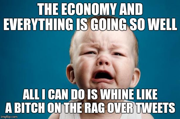 BABY CRYING | THE ECONOMY AND EVERYTHING IS GOING SO WELL ALL I CAN DO IS WHINE LIKE A B**CH ON THE RAG OVER TWEETS | image tagged in baby crying | made w/ Imgflip meme maker