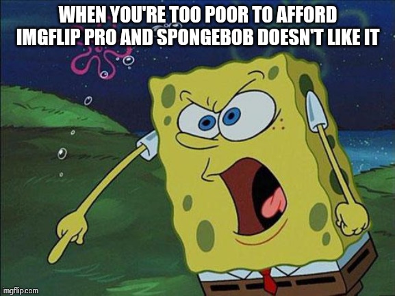 spongebob | WHEN YOU'RE TOO POOR TO AFFORD IMGFLIP PRO AND SPONGEBOB DOESN'T LIKE IT | image tagged in spongebob | made w/ Imgflip meme maker