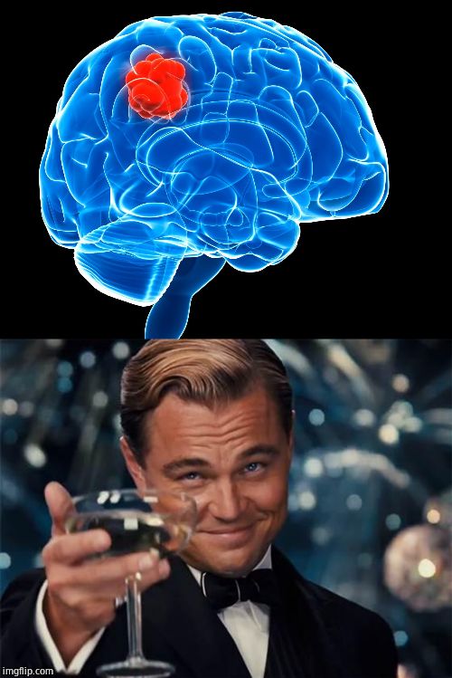 image tagged in wolf of wall street,brain tumor | made w/ Imgflip meme maker