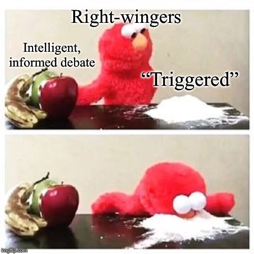 Triggerrrreeedddd | Intelligent, informed debate “Triggered” Right-wingers | image tagged in elmo cocaine,triggered,triggered liberal,right wing,politics lol,debate | made w/ Imgflip meme maker