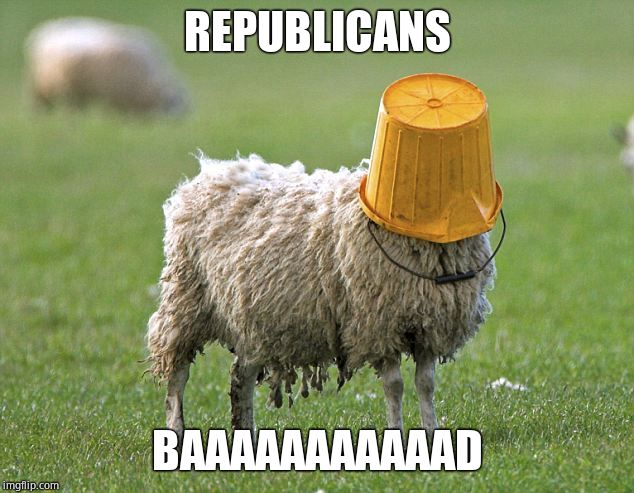 stupid sheep | REPUBLICANS BAAAAAAAAAAAD | image tagged in stupid sheep | made w/ Imgflip meme maker