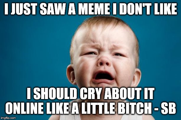 BABY CRYING | I JUST SAW A MEME I DON'T LIKE I SHOULD CRY ABOUT IT ONLINE LIKE A LITTLE B**CH - SB | image tagged in baby crying | made w/ Imgflip meme maker