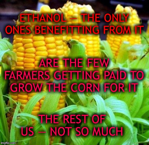 Another scam brought to you by the U.S. government | ETHANOL — THE ONLY ONES BENEFITTING FROM IT; ARE THE FEW FARMERS GETTING PAID TO GROW THE CORN FOR IT; THE REST OF US — NOT SO MUCH | image tagged in ruins gas mileage | made w/ Imgflip meme maker