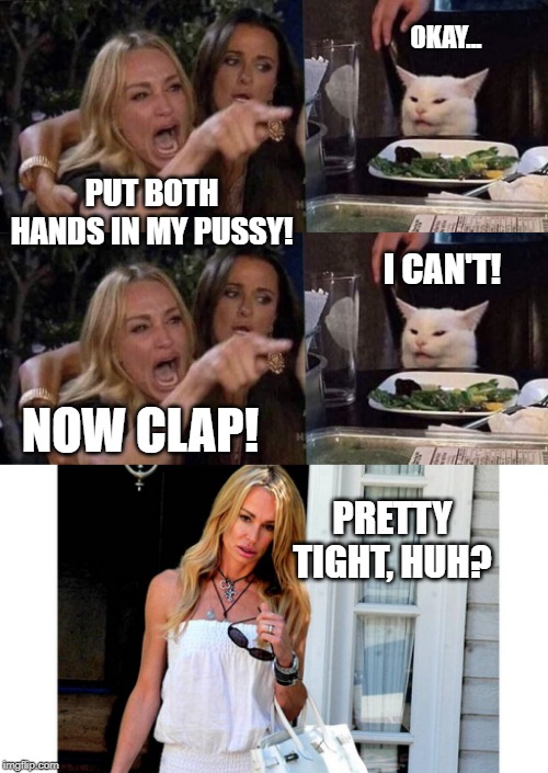 OKAY... PUT BOTH HANDS IN MY PUSSY! I CAN'T! NOW CLAP! PRETTY TIGHT, HUH? | image tagged in woman yelling at cat | made w/ Imgflip meme maker