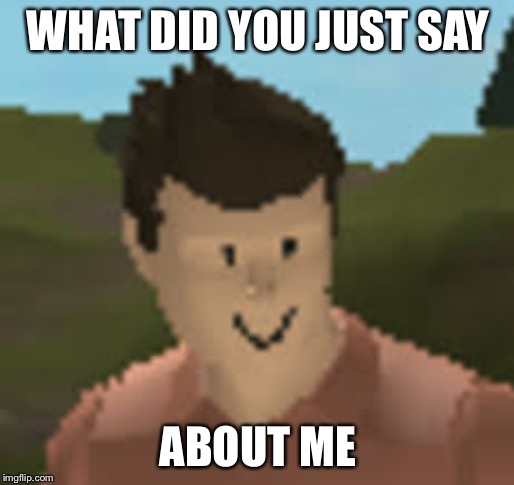 What did you just say about me | WHAT DID YOU JUST SAY; ABOUT ME | image tagged in roblox anthro | made w/ Imgflip meme maker