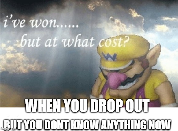 Wario sad | WHEN YOU DROP OUT; BUT YOU DONT KNOW ANYTHING NOW | image tagged in wario sad | made w/ Imgflip meme maker